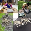 3D Plastikowy model dinozaura do wydobycia z gliny - Velociraptor [13180000406]